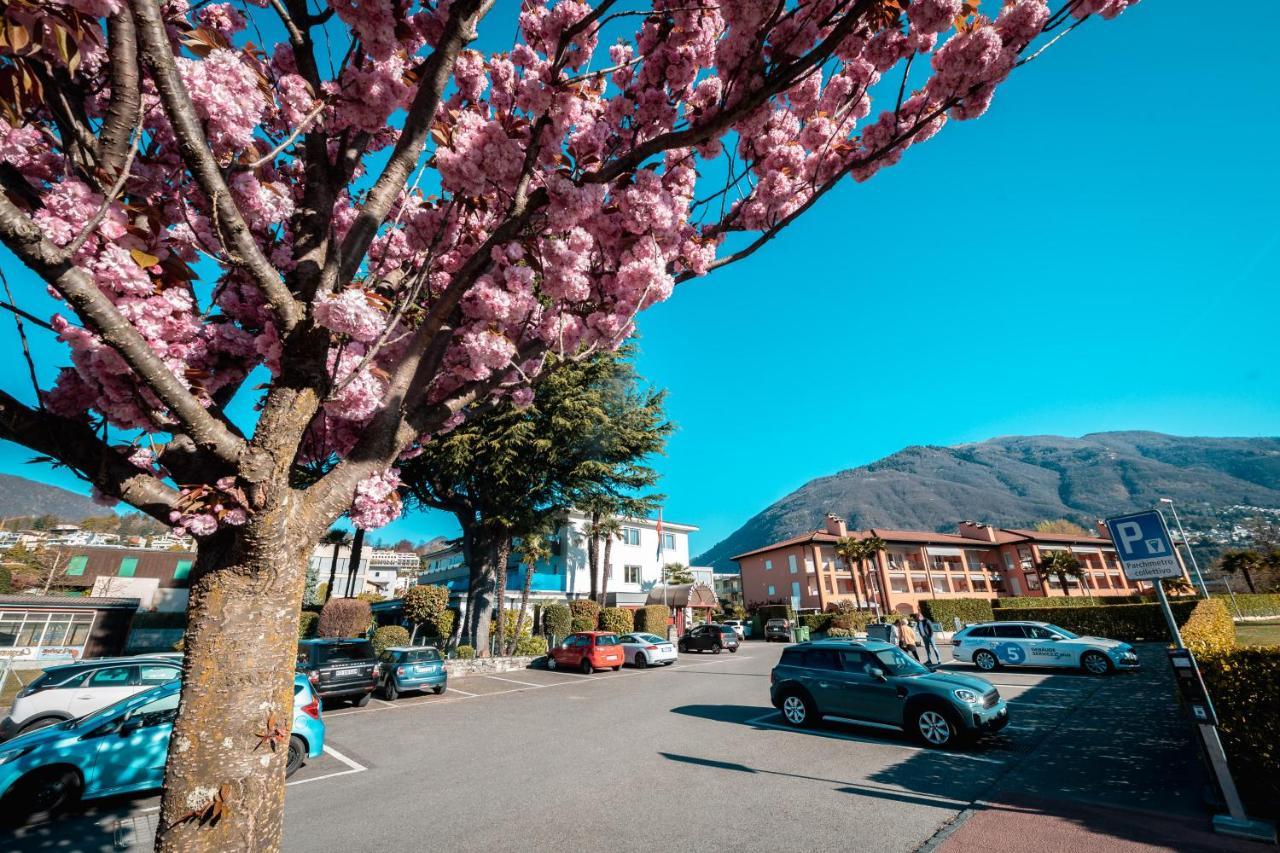 Ascona Lodge, Pool & Garden Retreat Екстериор снимка